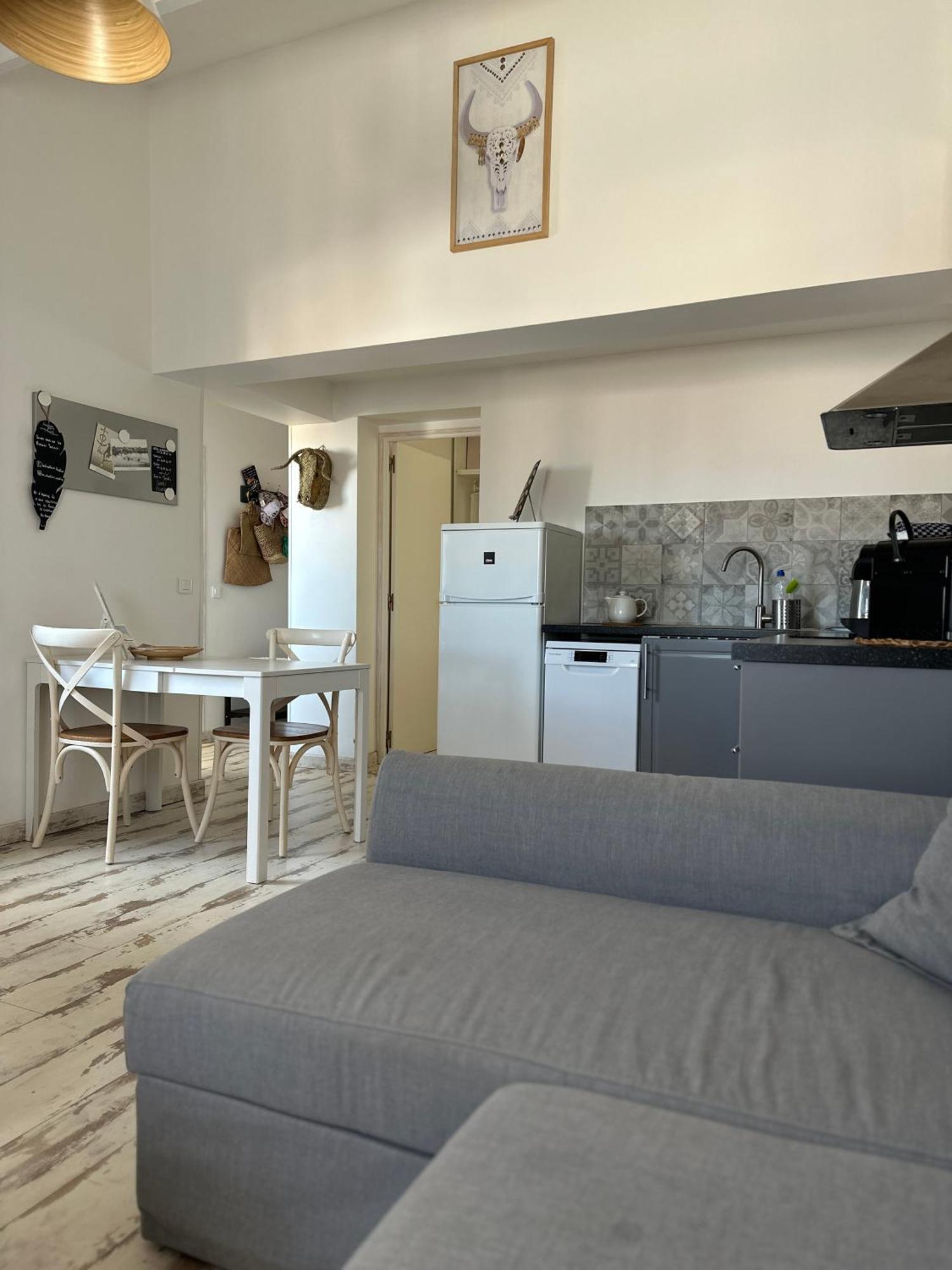 Appartement Cosy Le Boheme, A 300M Des Plages Locamargue 圣马迪拉莫 外观 照片